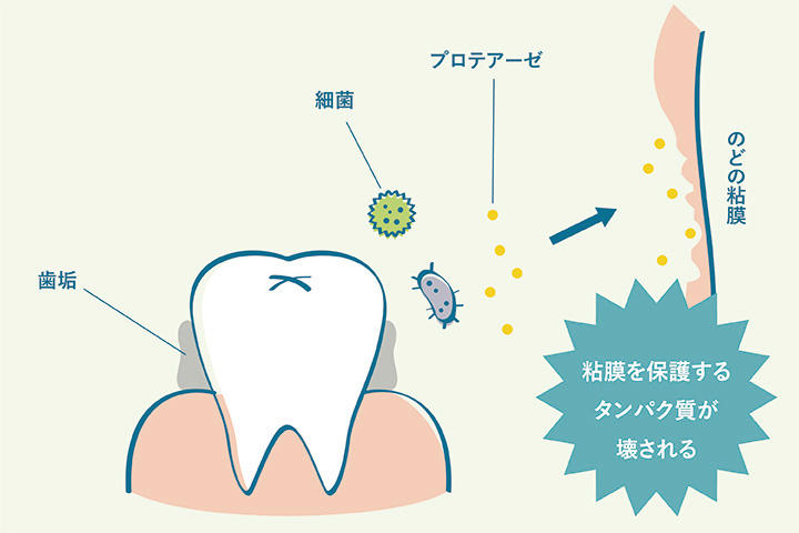 column13_dentalclinic_01.jpg