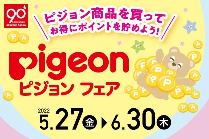 17_ah06_Pigeon.jpg