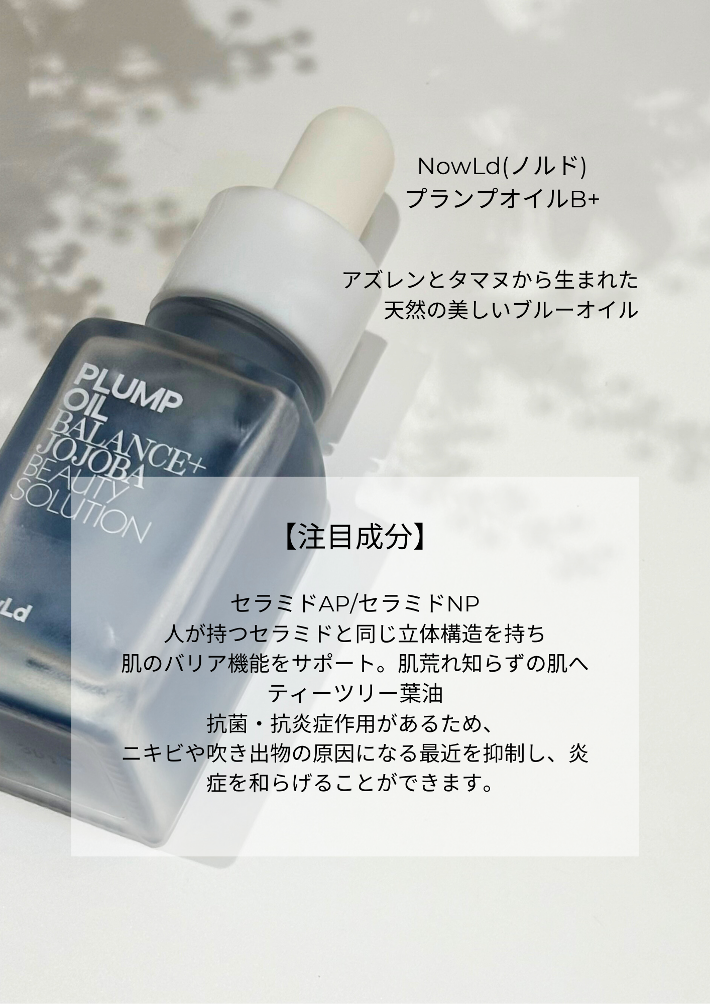 ゆらぎノルド.png