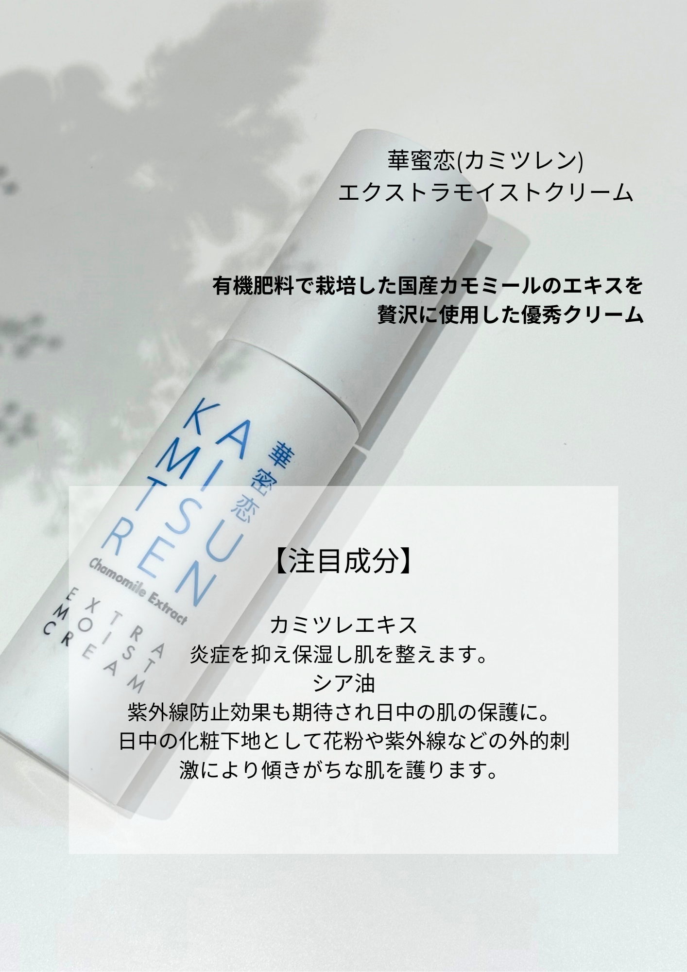 カミツレゆらぎ.png