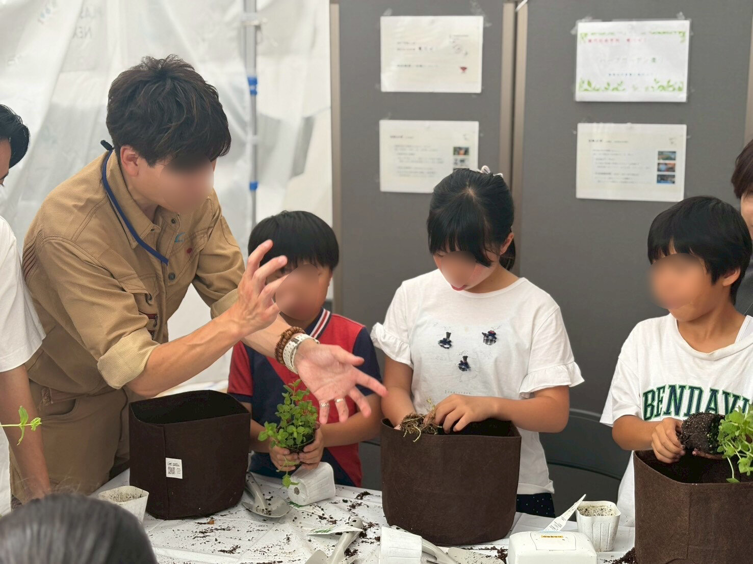 植物__.jpeg