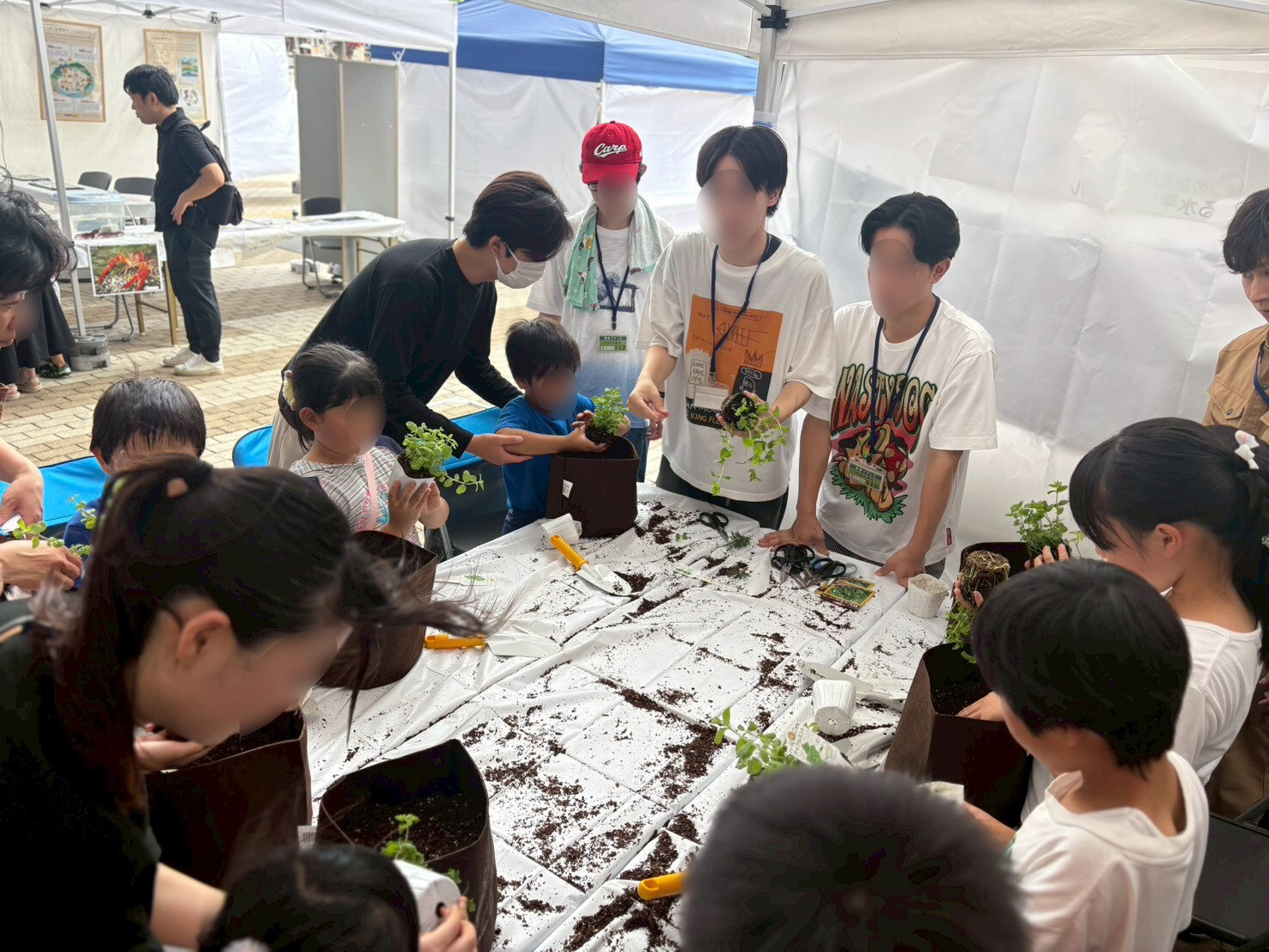 植物_.jpeg